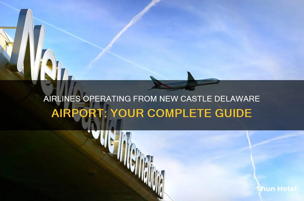 what airlines fly out of new castle delaware airport