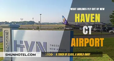 Airlines Operating from New Haven CT Airport: Your Complete Guide