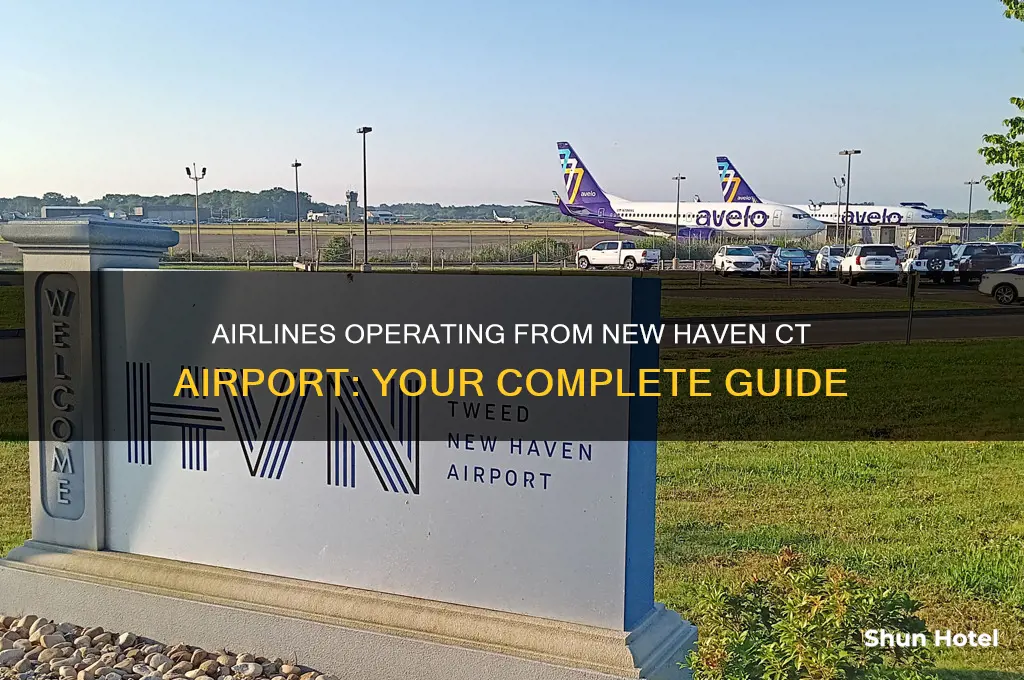 what airlines fly out of new haven ct airport
