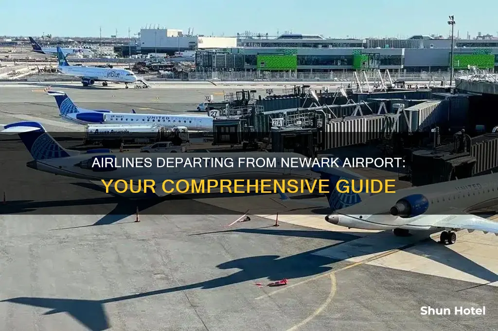 what airlines fly out of newark airport