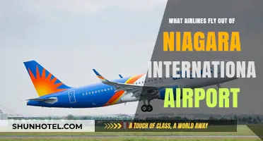 Airlines Operating from Niagara International Airport: Your Travel Options
