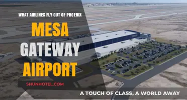 Airlines Operating from Phoenix Mesa Gateway Airport: Your Complete Guide