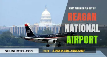 Airlines Operating from Reagan National Airport: Your Comprehensive Guide