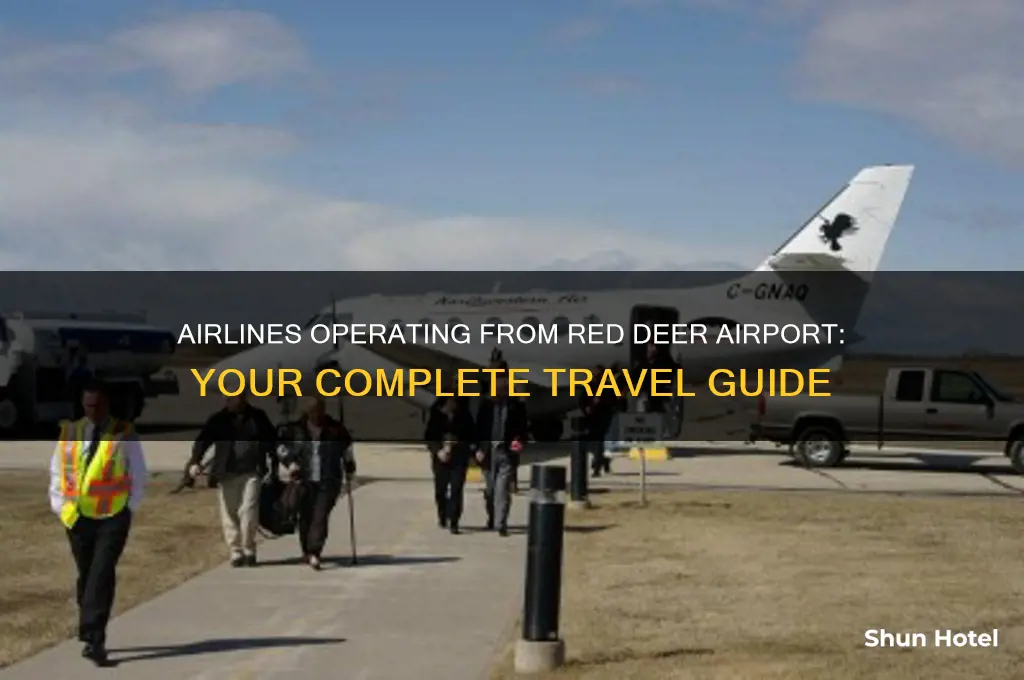 what airlines fly out of red deer airport