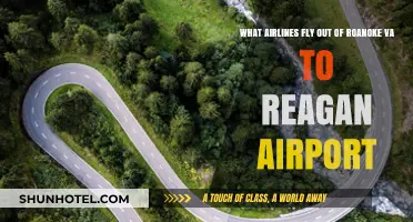 Airlines from Roanoke VA to Reagan Airport: Your Flight Options