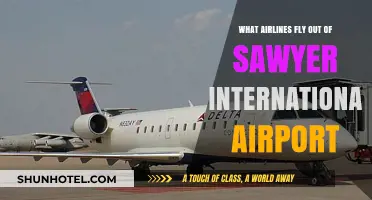 Airlines Departing Sawyer International Airport: Your Complete Flight Guide