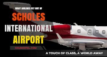 Airlines Operating from Scholes International Airport: Your Complete Guide