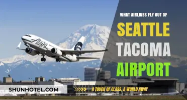 Seattle-Tacoma Airport Airlines: Your Comprehensive Guide to Carriers