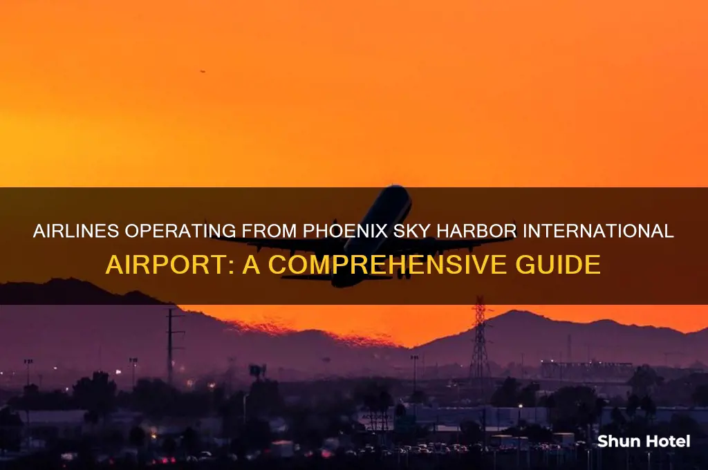 what airlines fly out of sky harbor airport