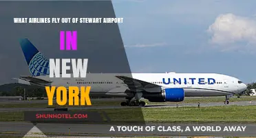 Airlines Operating from Stewart Airport in New York: Your Guide