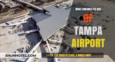 Airlines Departing Tampa Airport: Your Comprehensive Guide to Carriers
