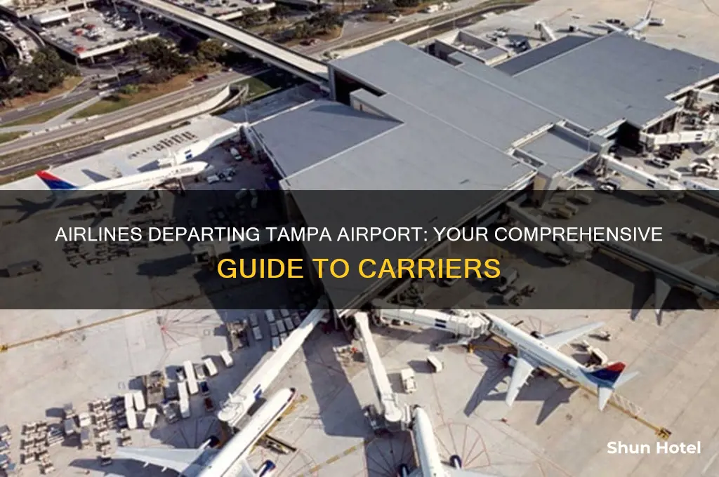 what airlines fly out of tampa airport