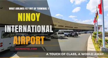 Airlines Operating from Terminal 1, Ninoy Aquino International Airport