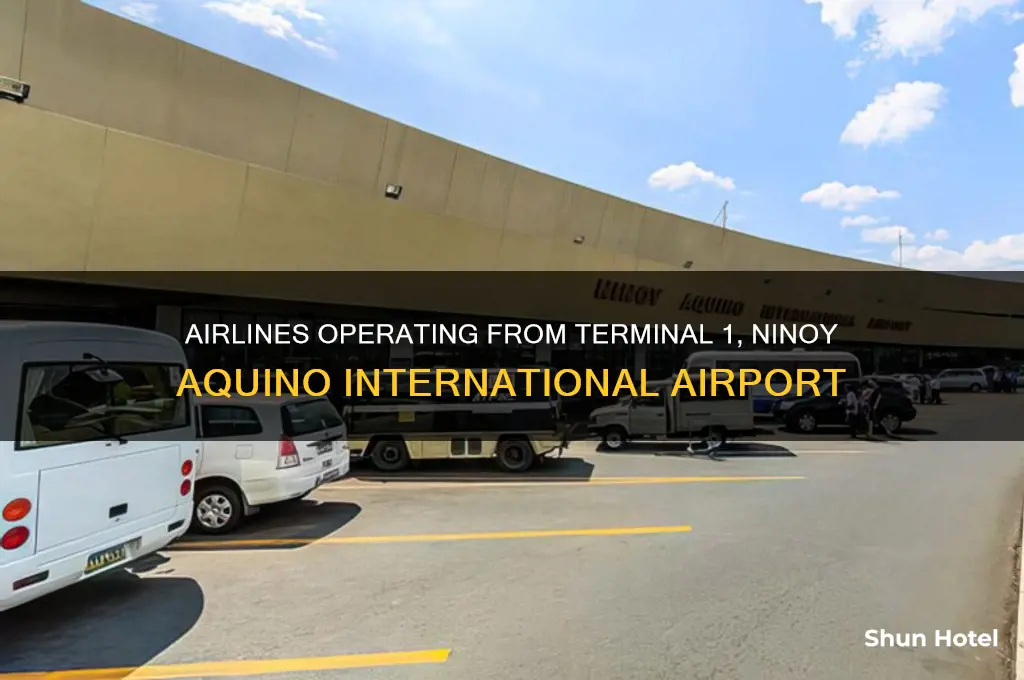 what airlines fly out of terminal 1 ninoy international airport