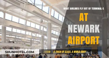 Airlines Operating from Terminal C at Newark Airport: A Comprehensive Guide