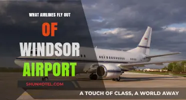 Airlines Operating from Windsor Airport: Your Comprehensive Flight Guide