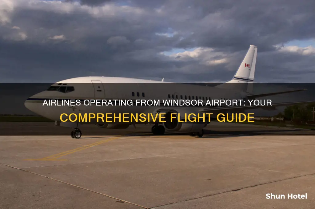 what airlines fly out of windsor airport