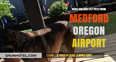 Pet-Friendly Flights: Airlines Transporting Pets from Medford Oregon Airport