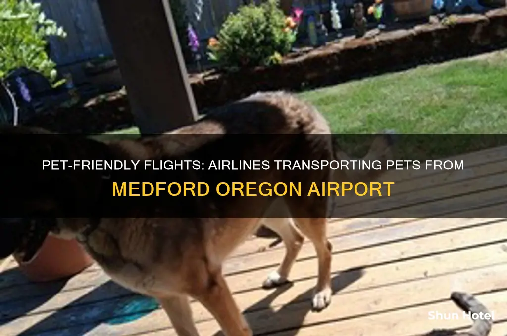 what airlines fly pets from medford oregon airport