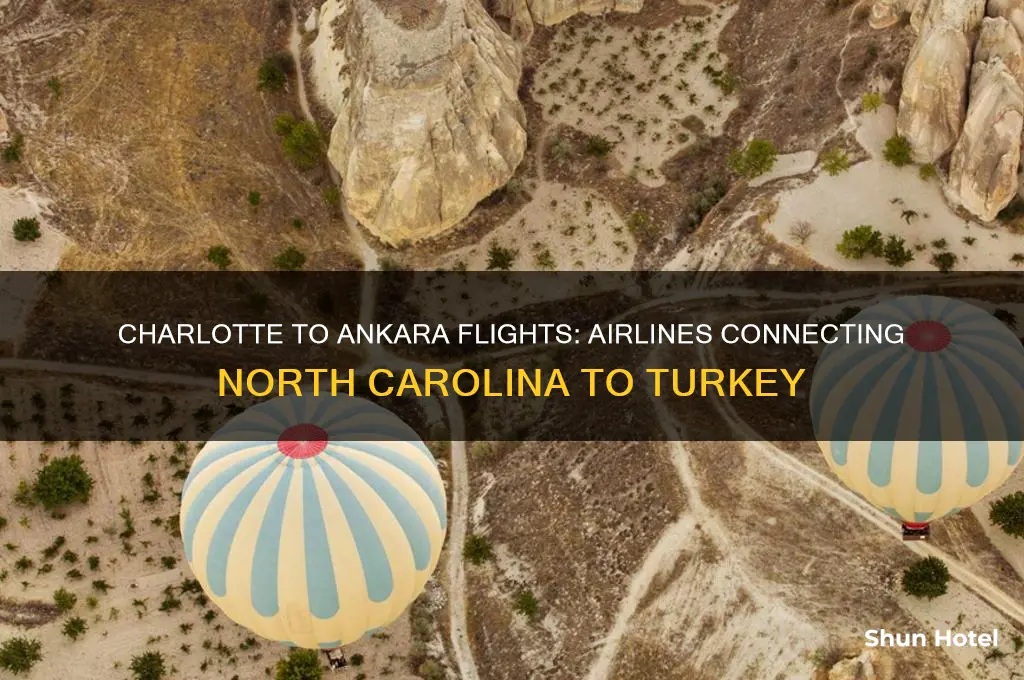 what airlines fly to ankara turkey from charlotte airport