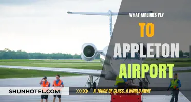 Airlines Serving Appleton Airport: Your Complete Guide to Flights