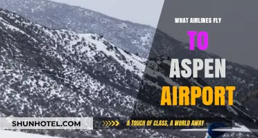 Discover Airlines Serving Aspen Airport: Your Ultimate Travel Guide