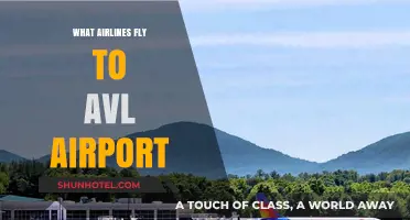 Airlines Serving AVL: Your Guide to Asheville Airport Flights