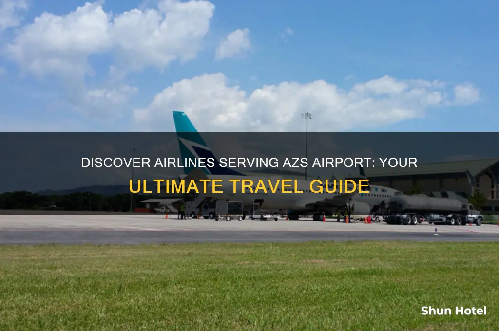 what airlines fly to azs airport