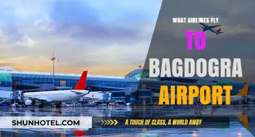 Airlines Serving Bagdogra Airport: Your Comprehensive Flight Guide