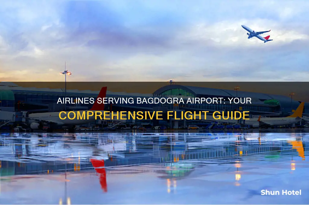 what airlines fly to bagdogra airport