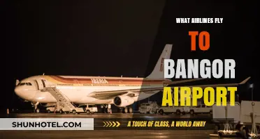 Airlines Serving Bangor Airport: Your Comprehensive Flight Guide