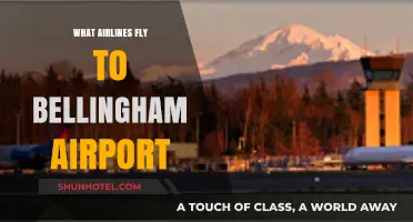 Airlines Serving Bellingham Airport: Your Comprehensive Flight Guide
