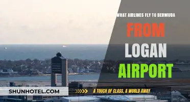 Bermuda-Bound: Airlines Flying from Logan Airport to Paradise