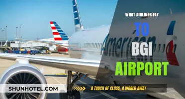 Airlines Serving BGI Airport: Your Comprehensive Flight Guide to Barbados