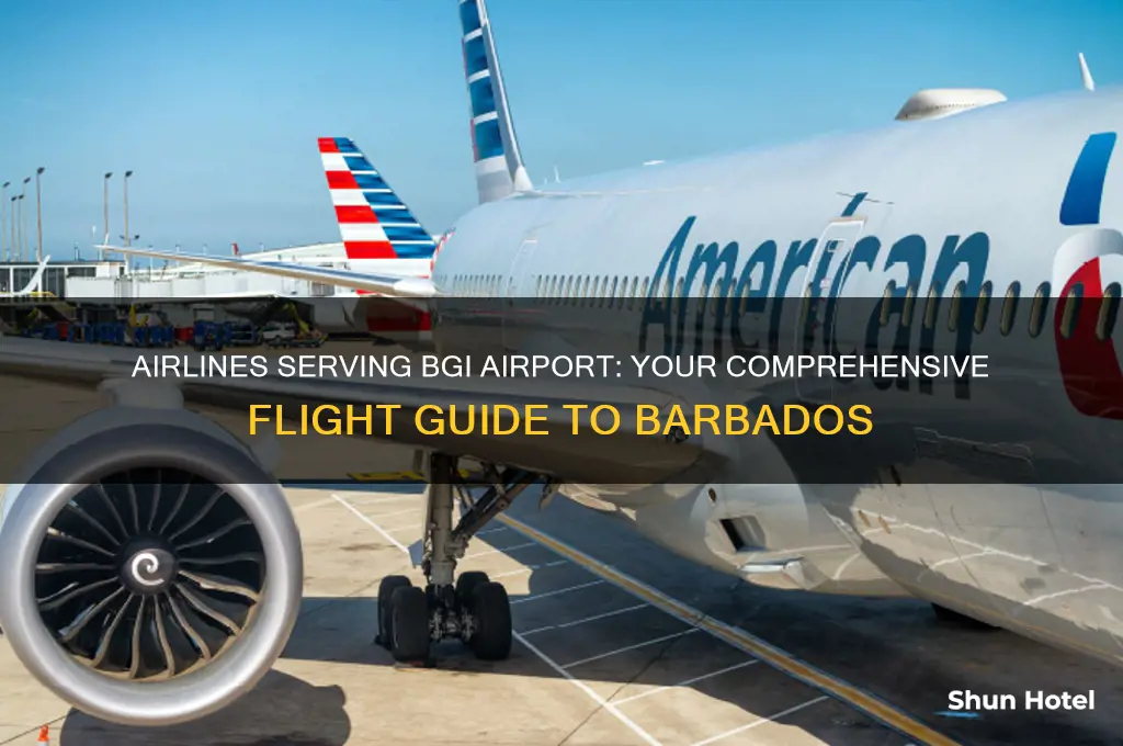 what airlines fly to bgi airport
