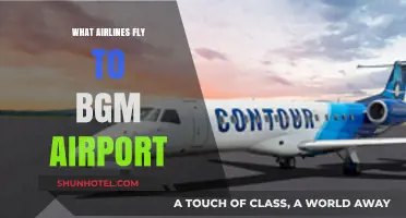 Airlines Serving BGM Airport: Your Complete Guide to Flights