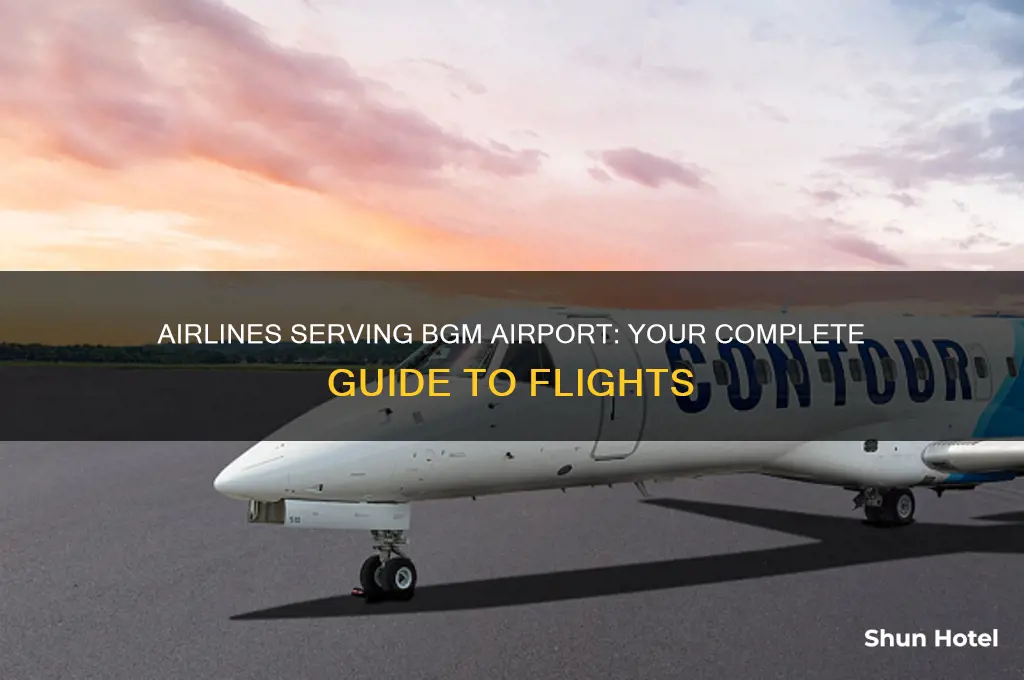 what airlines fly to bgm airport