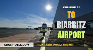 Airlines Serving Biarritz Airport: Your Comprehensive Flight Guide