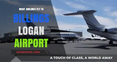 Airlines Serving Billings Logan Airport: Your Complete Travel Guide