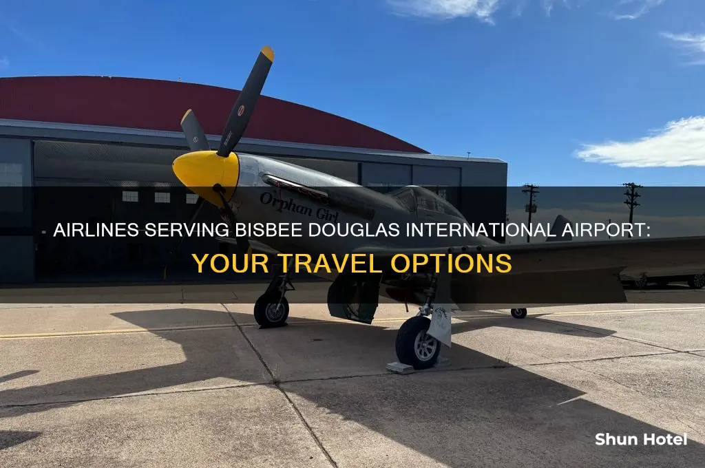what airlines fly to bisbee douglas international airport