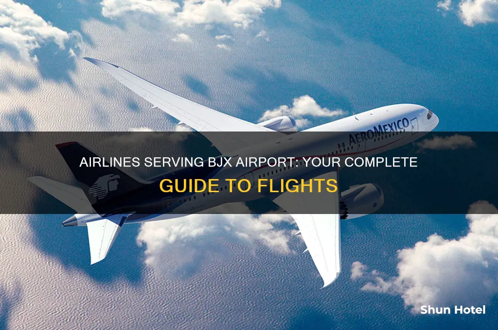what airlines fly to bjx airport