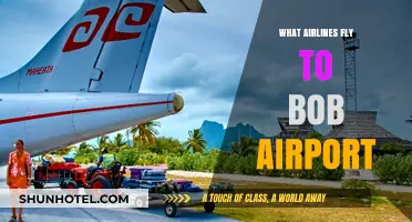 Discover Airlines Serving Bob Airport: Your Comprehensive Flight Guide