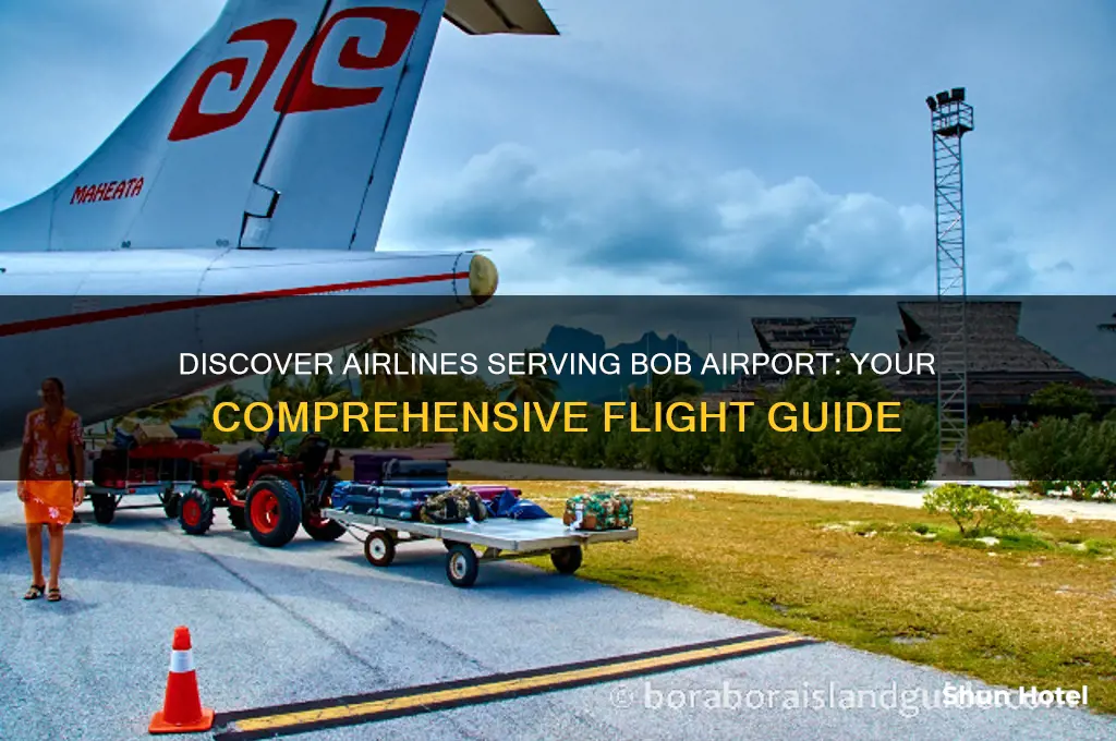 what airlines fly to bob airport
