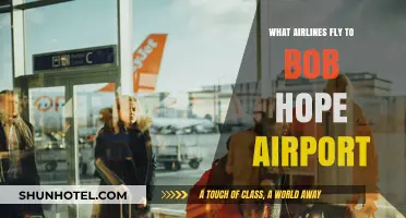 Airlines Serving Bob Hope Airport: Your Comprehensive Flight Guide
