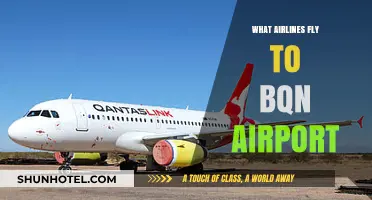 Airlines Serving BQN Airport: Your Complete Travel Guide