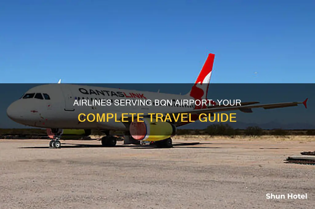 what airlines fly to bqn airport