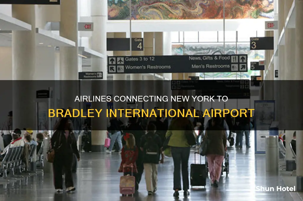 what airlines fly to bradley international airport from new york