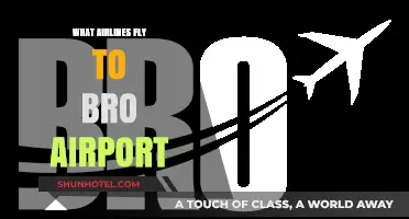 Airlines Serving Bro Airport: Your Comprehensive Flight Options Guide
