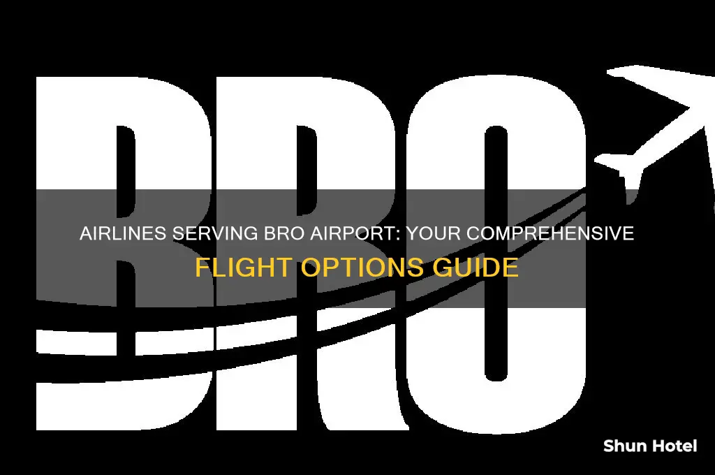 what airlines fly to bro airport