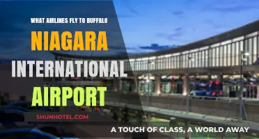 Airlines Serving Buffalo Niagara International Airport: Your Travel Options